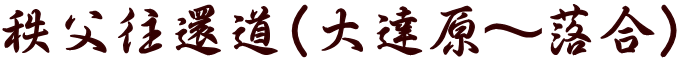 秩父往還道（大達原～落合）